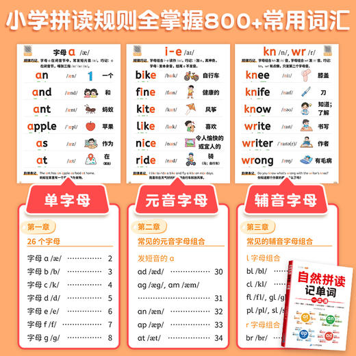 开学通用！《小学英语轻松学系列：单词+句式+语法+音标+单词汇总》全5册【6-12岁】 商品图2