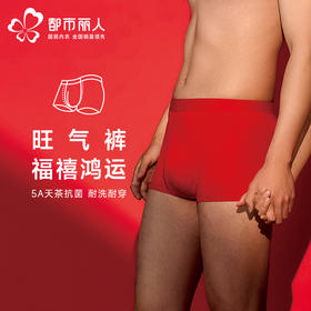 都市丽人都市锋尚内裤简约基础平角裤人棉提花男士内裤FKTCD8