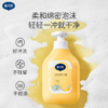【戴可思推荐】戴可思儿童金盏花洗发露350ml/沐浴露350ml 商品缩略图8