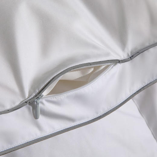 水星家纺90%白鸭绒冬被-雪弥尔抗菌羽绒冬被 商品图3