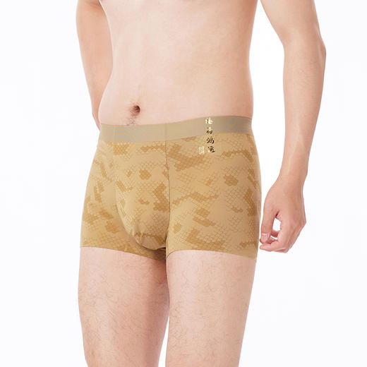 都市丽人都市锋尚内裤铂金舒适平角裤60S木莱尔男士内裤FKT4B6 商品图2