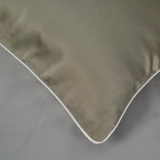 钱皇·桑蚕丝 AB面19姆米重磅真丝枕套 | 柔滑似水 清爽透气 亲肤护发 商品图4