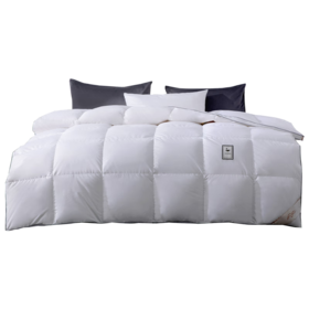 水星家纺90%白鸭绒冬被-雪弥尔抗菌羽绒冬被