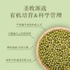 【18年有机认证】颗粒饱满 豆香浓郁 | 有机绿豆 不施加人工化肥农药 粗粮杂豆类食材 350g*2袋 商品缩略图6