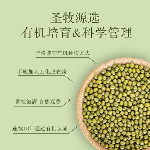 【18年有机认证】颗粒饱满 豆香浓郁 | 有机绿豆 不施加人工化肥农药 粗粮杂豆类食材 350g*2袋 商品图6