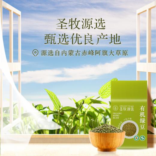 【18年有机认证】颗粒饱满 豆香浓郁 | 有机绿豆 不施加人工化肥农药 粗粮杂豆类食材 350g*2袋 商品图4