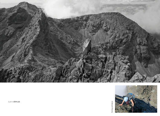 岩上时光(自然文库) 商品图3