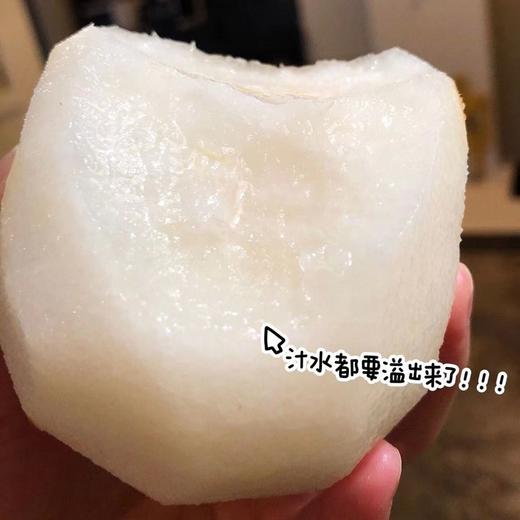 【冰糖·秋月梨】自然成熟，甜汁多到“吸溜”喝，补水又润燥。口感化渣度今年甚至更好！！水润充盈，果肉细腻如月白，水份高达82%。 商品图7
