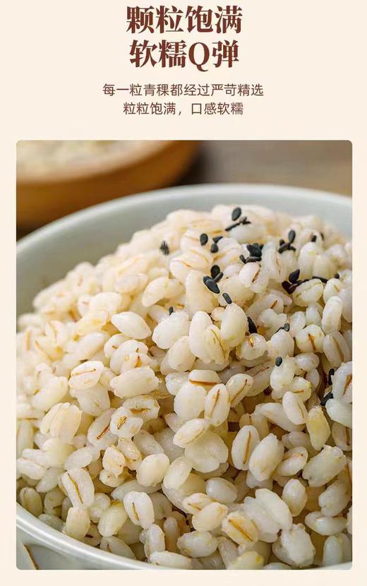 青稞珍珠米 青海特产 青稞精选 500g 商品图3