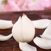 良土尚品兰州有机鲜百合片80g 商品缩略图3