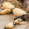 生态九孔莲藕 4斤/6斤/8斤 | 合作农友生产，产自四川遂宁，生产者：廖勇 *【公平贸易农人定价】 商品缩略图6