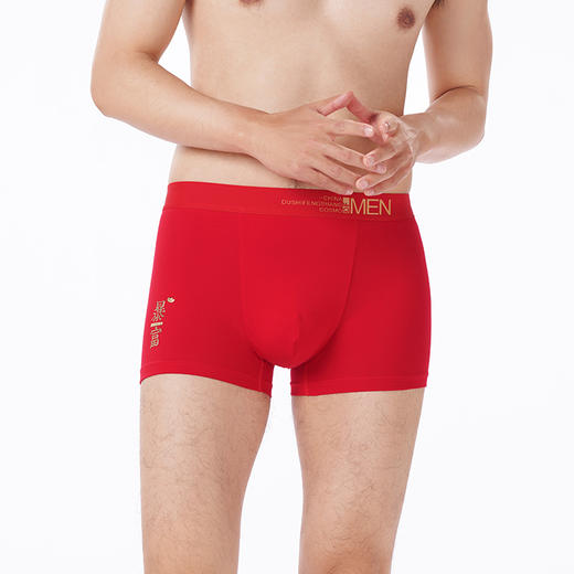 都市丽人都市锋尚内裤简约基础平角裤60S长绒棉男士内裤FKTHD1 商品图1