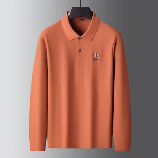 【100%棉】【新款DK】大依优型大码长袖Polo衫翻领纯棉男士加肥加大休闲大码男装宽松长袖体恤上衣 商品图5