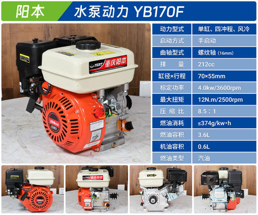 阳本 YB170F-水泵动力 商品图2