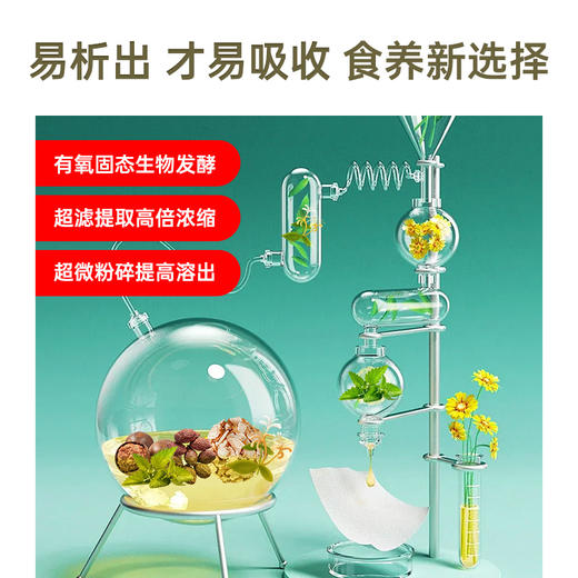  罗汉果胖大海本草饮300ml  常喝嗓子润  排走咽喉“异物感”本草精华 药食同源 商品图4