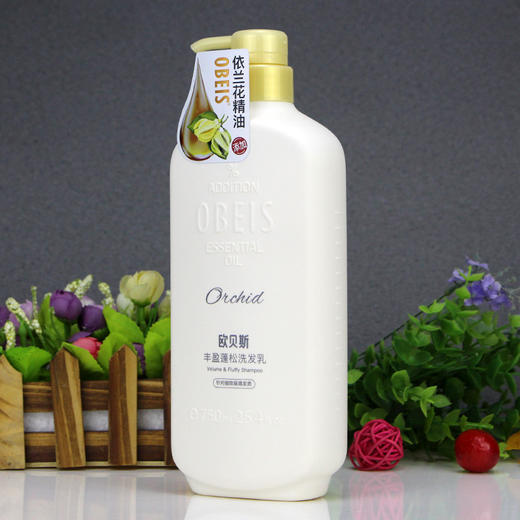 OBEIS欧贝斯洗发水 山茶花顺滑控油去屑柔顺蓬松洗头膏男女留香 商品图1