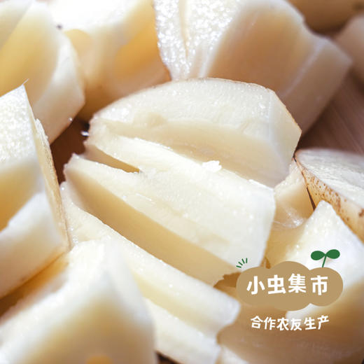 生态九孔莲藕 4斤/6斤/8斤 | 合作农友生产，产自四川遂宁，生产者：廖勇 *【公平贸易农人定价】 商品图5