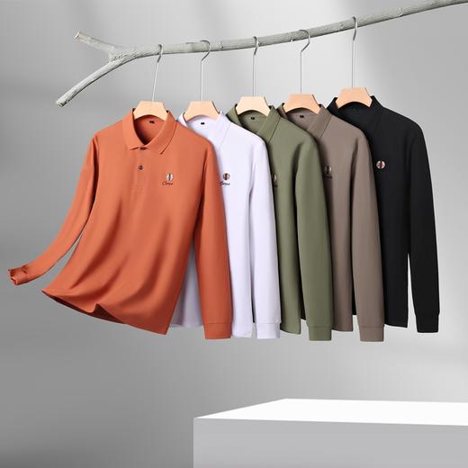 【100%棉】【新款DK】大依优型大码长袖Polo衫翻领纯棉男士加肥加大休闲大码男装宽松长袖体恤上衣 商品图3