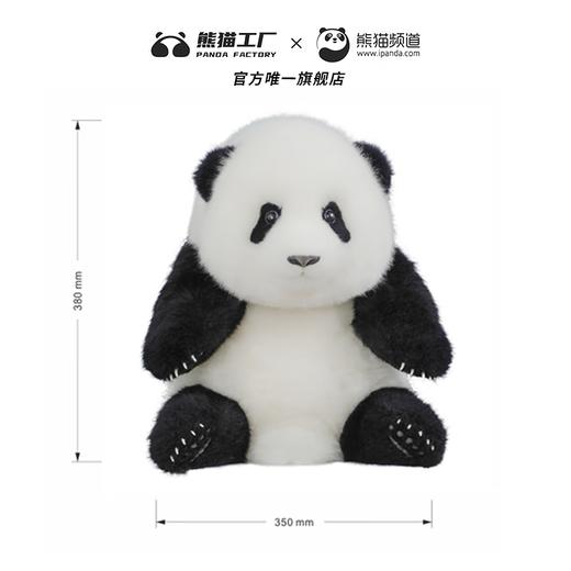熊猫工厂 仿真熊猫玩偶 5月龄 萌兰 仿真熊猫基地玩偶抱枕七夕情人节送女生羊毛绒玩具长35*宽35*高38 商品图7