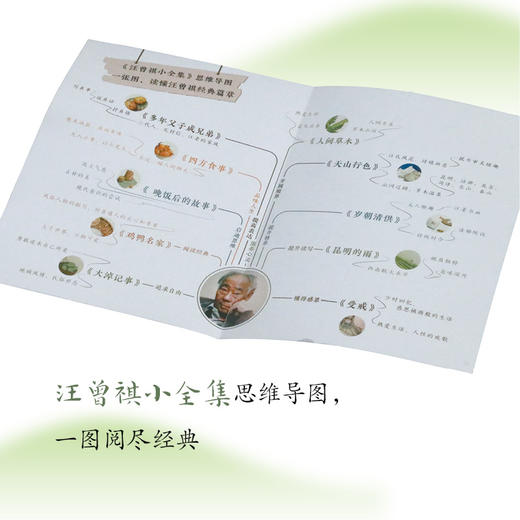 《汪曾祺小全集》（全10册）| 收录汪曾祺毕生精华篇章 商品图5
