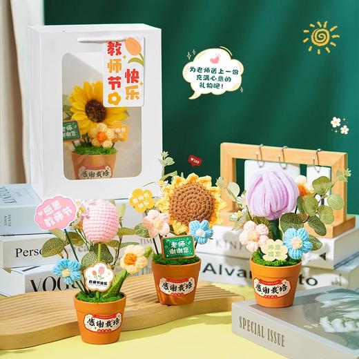 （满两件包邮）教师节礼物2024新款仿真实用花束、盆栽_ym 商品图3