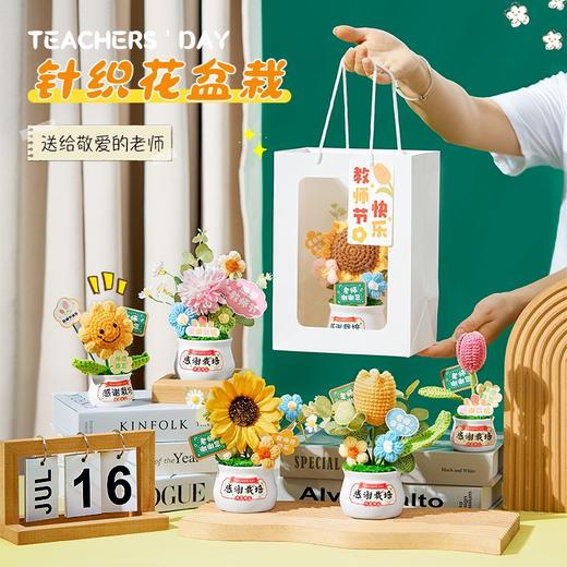 （满两件包邮）教师节礼物2024新款仿真实用花束、盆栽_ym 商品图2