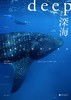 深海-探索寂静的未知 商品缩略图0