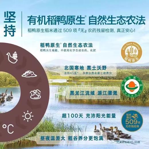 禾泱泱有机稻鸭原生维D加钙香蕉牛肉小米米粉225g 商品图4