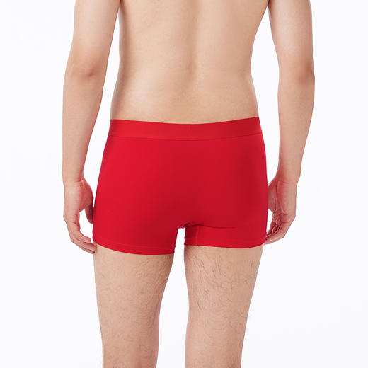 都市丽人都市锋尚内裤简约基础平角裤60S长绒棉男士内裤FKTHD1 商品图3