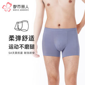 都市丽人都市锋尚内裤简约基础平角裤50S人棉男士内裤FKTCE7