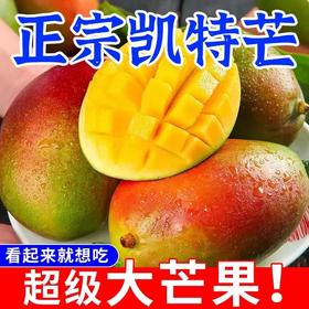 【新鲜采摘！四川攀枝花凯特芒】软糯香甜 大脸芒 青芒 果肉软滑多汁 多规格装香甜可口坏果包赔节