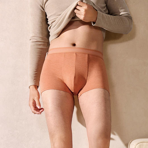 都市丽人都市锋尚内裤简约基础平角裤彩纱拉架男士内裤FKTCF3 商品图1