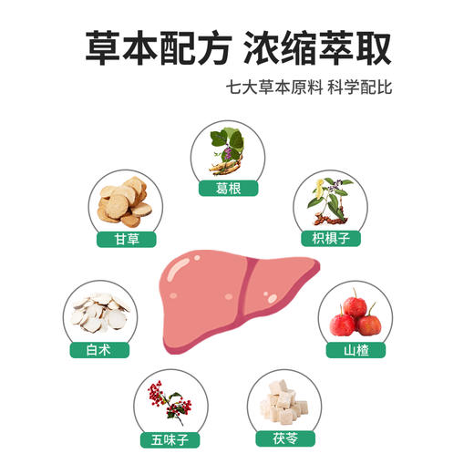 天士力牌葛根枳椇胶囊12g（0.5g*24） 商品图2