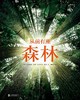 从前有座森林 商品缩略图0