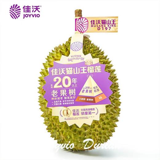 猫山王鲜榴莲(单果规格：1.6-2.1kg）/个 商品图1