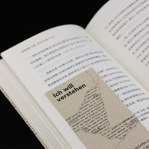 我想理解：汉娜·阿伦特访谈与书信 （守望者·访谈） 商品图6