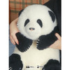 熊猫工厂 仿真熊猫玩偶 5月龄 和花 花花公仔仿真熊猫玩偶送女友情人节礼物可爱儿童毛绒玩具长35*宽35*高38 商品缩略图3