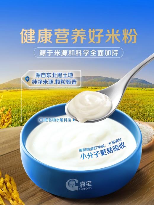 嘉宝专业版A2β-酪蛋白配方米粉250g/JBA-63080 商品图4