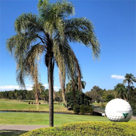 棕榈草地高尔夫球场 Palm Meadows Golf Course  | 黄金海岸高尔夫  | 澳大利亚高尔夫球场俱乐部