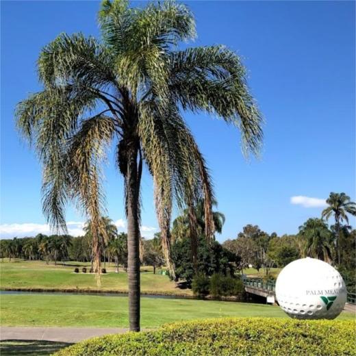 棕榈草地高尔夫球场 Palm Meadows Golf Course  | 黄金海岸高尔夫  | 澳大利亚高尔夫球场俱乐部 商品图0