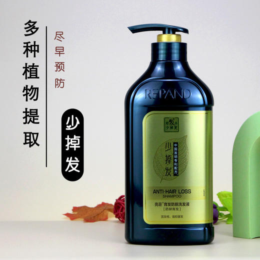 REPAND育发防脱洗发液 亮荘防脱洗发水 男女家庭装 去头屑育发侧柏叶强韧少掉发洗发露 商品图0