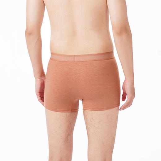 都市丽人都市锋尚内裤简约基础平角裤彩纱拉架男士内裤FKTCF3 商品图4