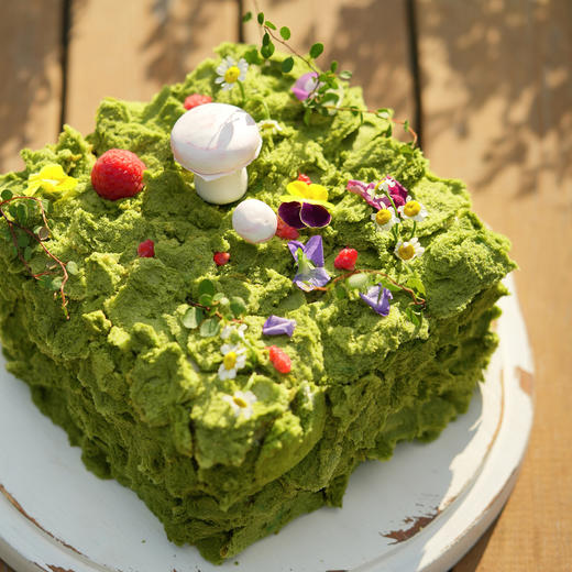 绿野仙踪 商品图3