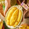 猫山王鲜榴莲(单果规格：1.6-2.1kg）/个 商品缩略图0