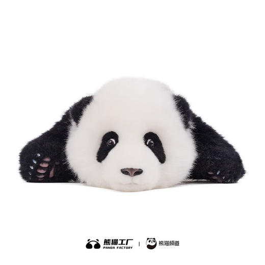 熊猫工厂 仿真熊猫玩偶 3月龄 叶叶 仿真熊猫玩偶送女友情人节礼物可爱儿童毛绒公仔 长48*宽32*17 商品图5