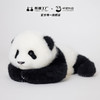 熊猫熊猫工厂 仿真熊猫玩偶 3月龄 萌兰 熊猫基地玩偶爬抱姿公仔羊皮毛绒玩具 商品缩略图4