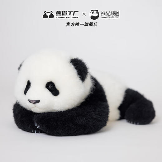 熊猫熊猫工厂 仿真熊猫玩偶 3月龄 萌兰 熊猫基地玩偶爬抱姿公仔羊皮毛绒玩具 商品图4