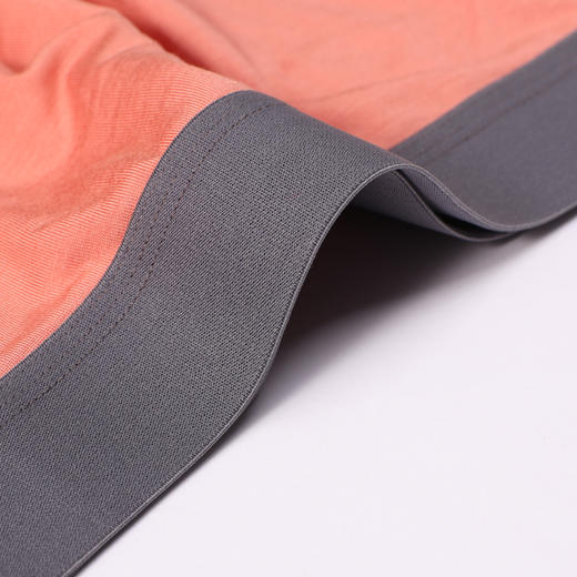 都市丽人都市锋尚内裤简约基础平角裤40S人棉男士内裤FKTCF1 商品图4