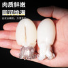 墨鱼仔｜冷冻小墨鱼 220g/包 肉质鲜嫩 圆润饱满【不花心】去皮去嫩脏 商品缩略图2