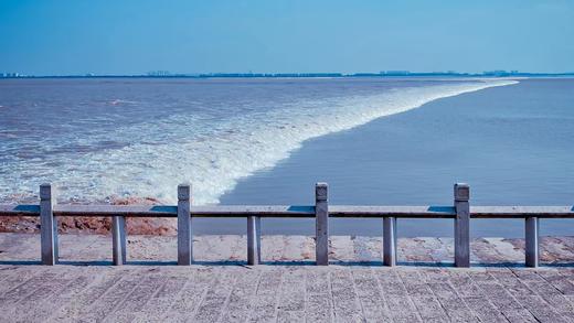 华东5市6日游，住进风景里，一次游览上海+南京+苏州+杭州+乌镇+无锡+海宁，邂逅绝美江南， 商品图2